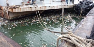 Protect the marine environment against pollution